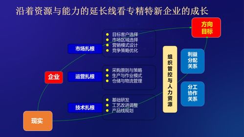 徐朝華 中小企業(yè)怎么破解融資難 融資貴 融資慢的問題